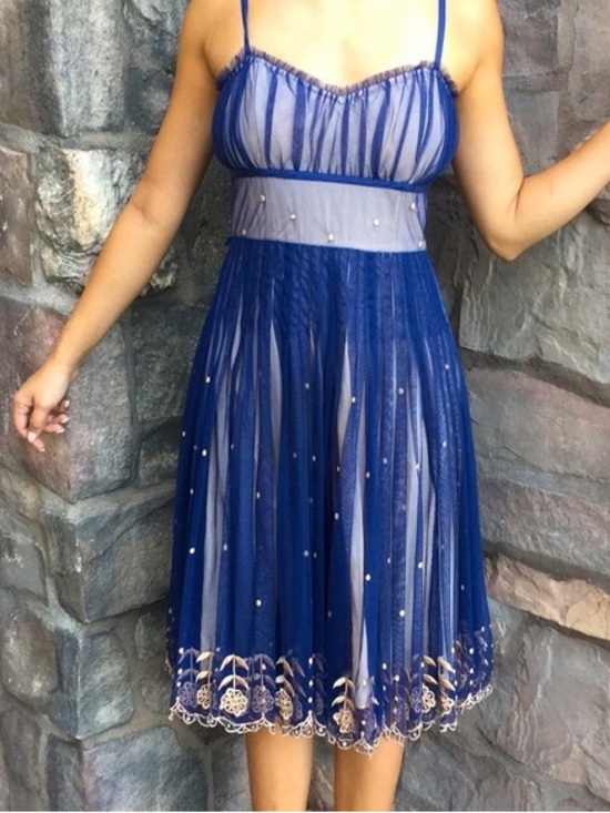 Odille Dresses & Skirts - Anthropologie Odille Winter Prelude navy blue tulle dress gold embroidery